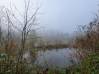
Bois de chasse Brissay Choigny 66963 m2
