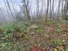 
Bois de chasse Brissay Choigny 66963 m2
