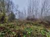 
Bois de chasse Brissay Choigny 66963 m2
