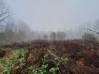 
Bois de chasse Brissay Choigny 66963 m2
