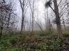 
Bois de chasse Brissay Choigny 66963 m2
