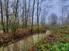 
Bois de chasse Brissy Hamegicourt
