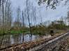 
Bois de chasse Brissy Hamegicourt
