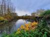 
Bois de chasse Brissy Hamegicourt
