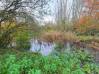 
Bois de chasse Brissy Hamegicourt

