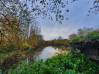 
Bois de chasse Brissy Hamegicourt
