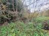 
Bois de chasse Brissy Hamegicourt
