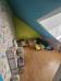 
Maison St Quentin 5 pièce(s) 91 m2
