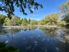 
Etang Eppeville 5970m2
