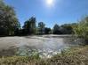 
Etang Eppeville 5970m2
