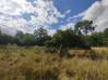
Terrain de loisirs THENELLES 2896 m²

