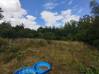 
Terrain de loisirs THENELLES 2896 m²
