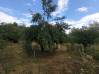 
Terrain de loisirs THENELLES 2896 m²

