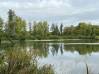 
Etang Alaincourt 36080 m2
