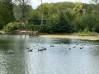 
Etang Alaincourt 36080 m2

