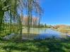 
Etang Rogny
