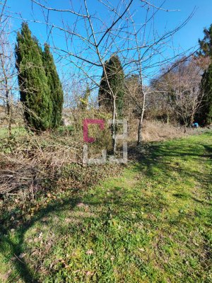 
Terrain Colligis Crandelain 1384 m2
