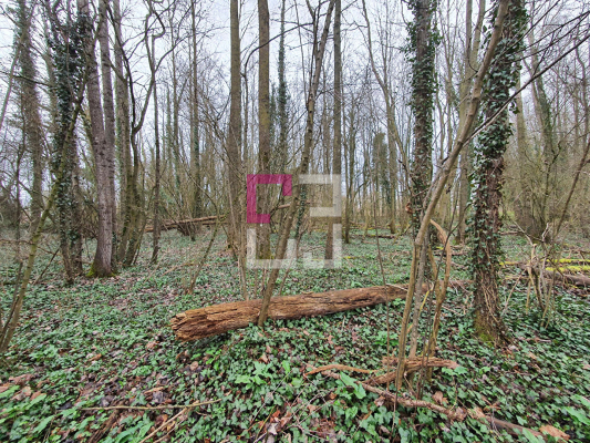 
Propriété de loisirs Saint Quentin 97000 m2
