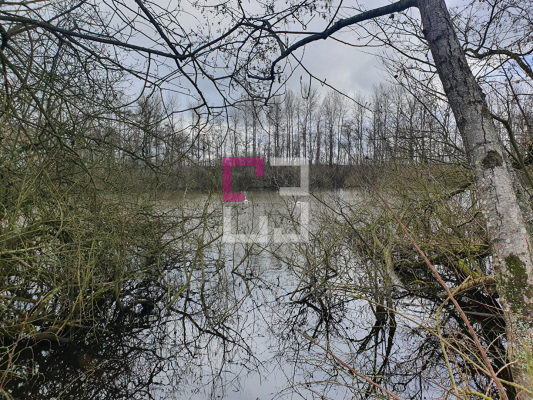 
Propriété de loisirs Saint Quentin 97000 m2
