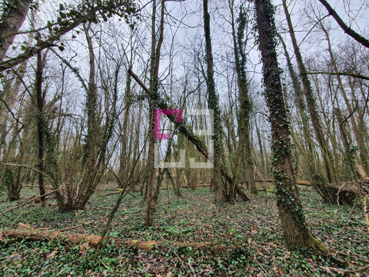 
Propriété de loisirs Saint Quentin 97000 m2
