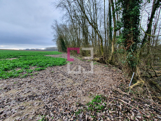 
Propriété de loisirs Saint Quentin 97000 m2
