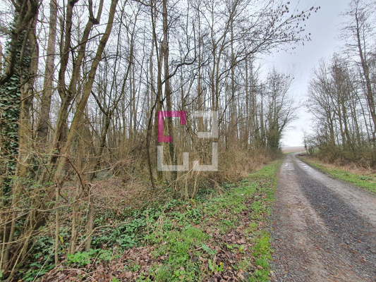 
Propriété de loisirs Saint Quentin 97000 m2
