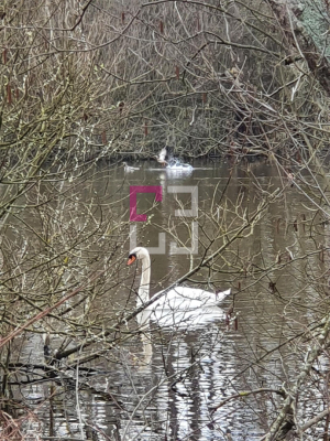 
Propriété de loisirs Saint Quentin 97000 m2
