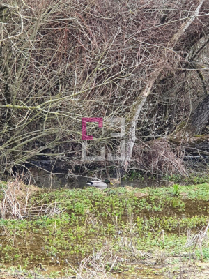 
Propriété de loisirs Saint Quentin 97000 m2
