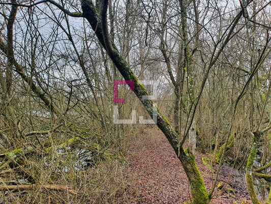 
Propriété de loisirs Saint Quentin 97000 m2
