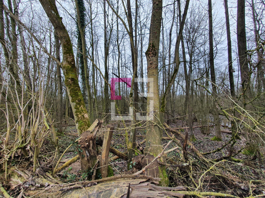 
Propriété de loisirs Saint Quentin 97000 m2
