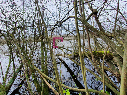 
Propriété de loisirs Saint Quentin 97000 m2
