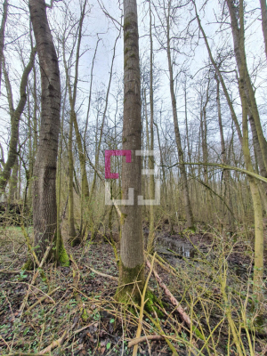 
Propriété de loisirs Saint Quentin 97000 m2
