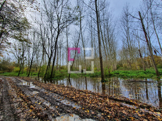 
Terrain de loisirs Brissy Hamegicourt 19013 m2
