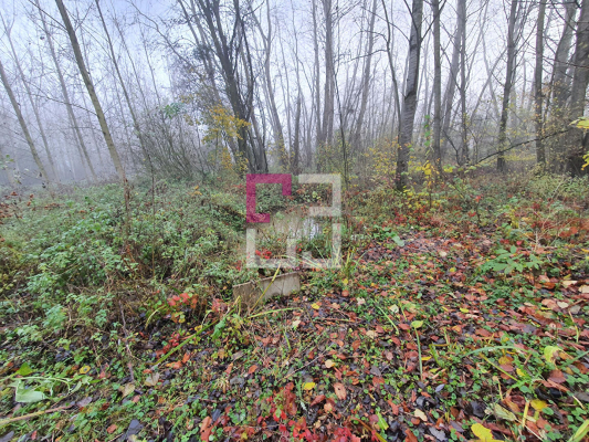 
Bois de chasse Brissay Choigny 66963 m2
