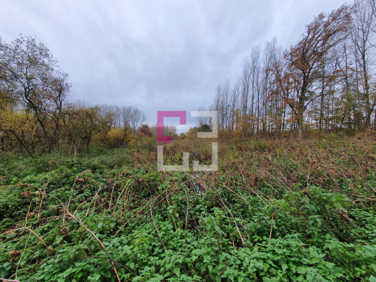 
Bois de chasse Brissay Choigny 66963 m2
