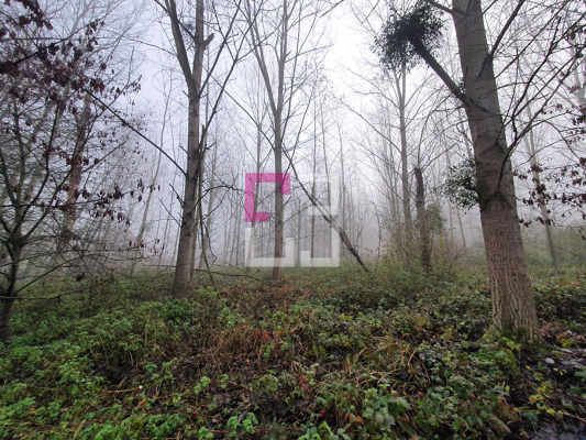 
Bois de chasse Brissay Choigny 66963 m2
