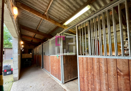 
Domaine équestre 3860m2
