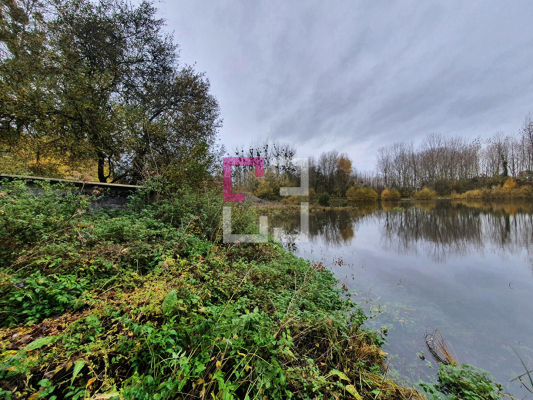 
Bois de chasse Brissy Hamegicourt
