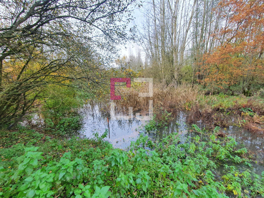 
Bois de chasse Brissy Hamegicourt
