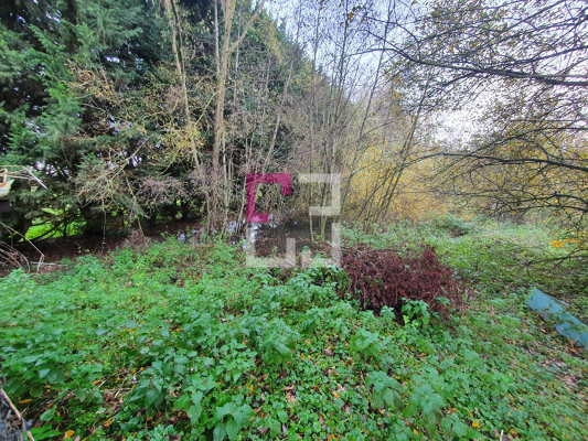 
Bois de chasse Brissy Hamegicourt
