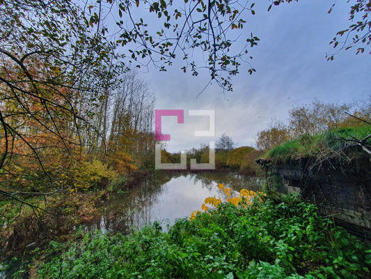 
Bois de chasse Brissy Hamegicourt
