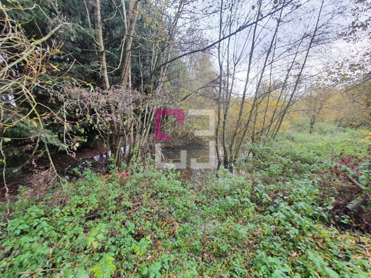 
Bois de chasse Brissy Hamegicourt
