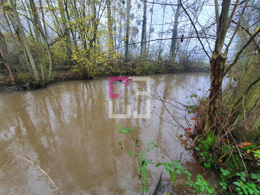 
Bois de chasse Brissy Hamegicourt
