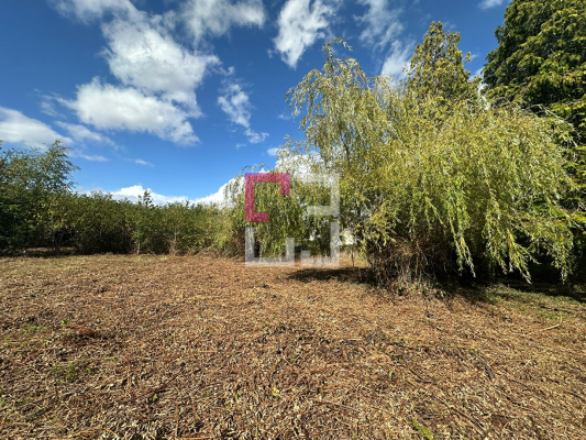 
Terrain Mennessis 1984 m2
