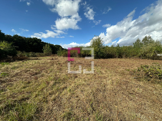 
Terrain Mennessis 1984 m2
