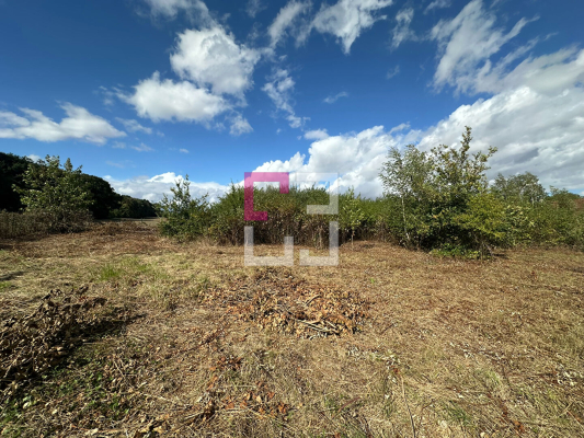 
Terrain Mennessis 1984 m2
