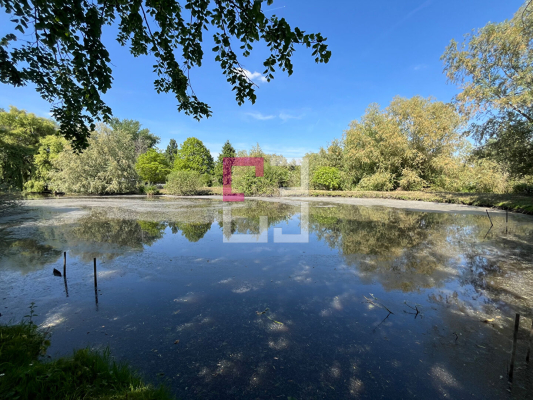 
Etang Eppeville 5970m2
