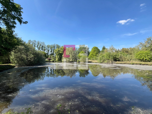 
Etang Eppeville 5970m2
