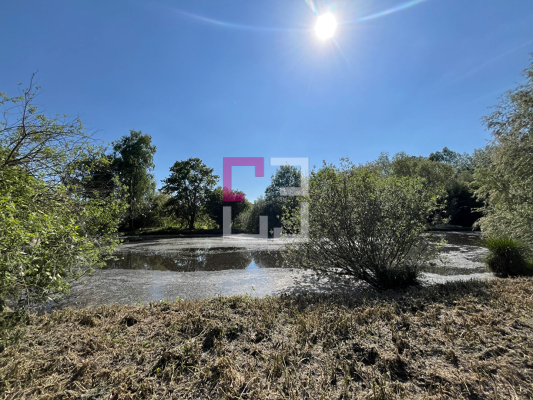 
Etang Eppeville 5970m2
