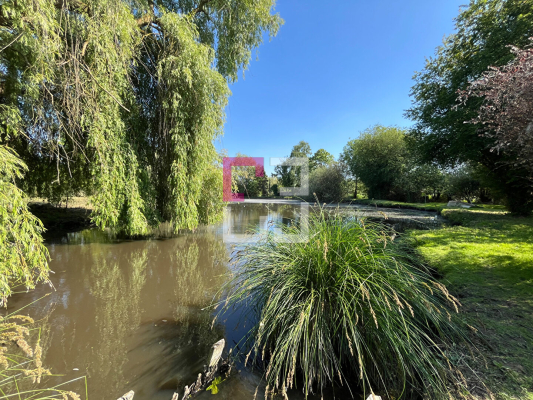 
Etang Eppeville 5970m2
